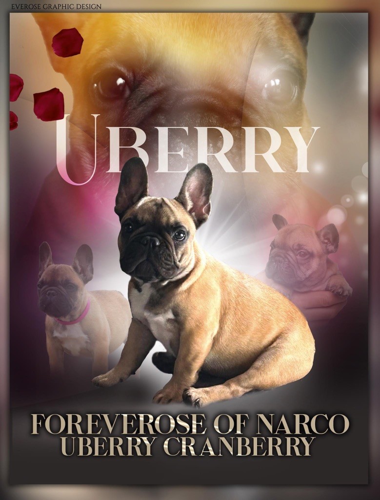 Foreverose Of Narco Uberry cranberry