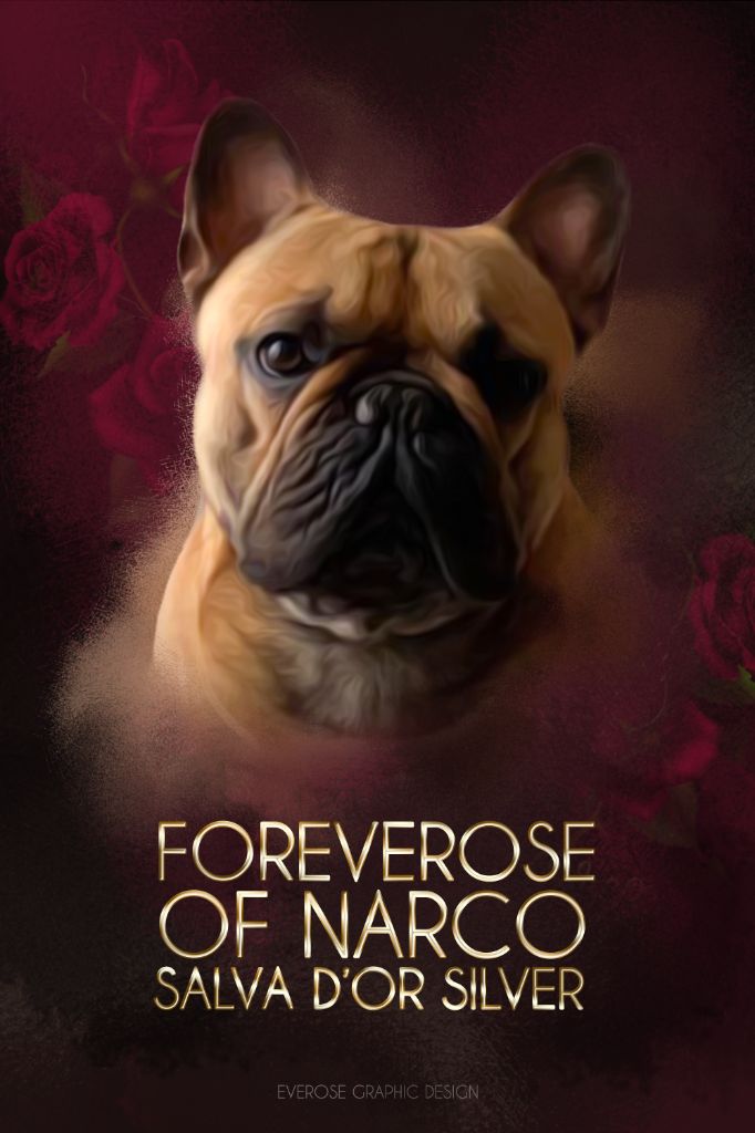 Foreverose Of Narco Salva d or silver