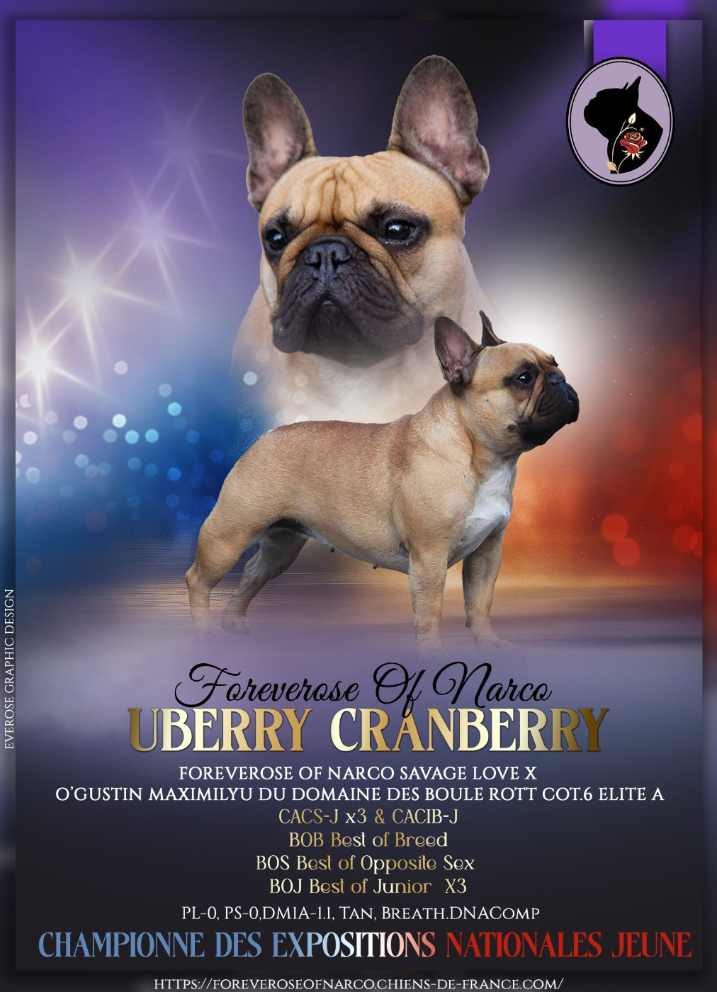 CH. Foreverose Of Narco Uberry cranberry