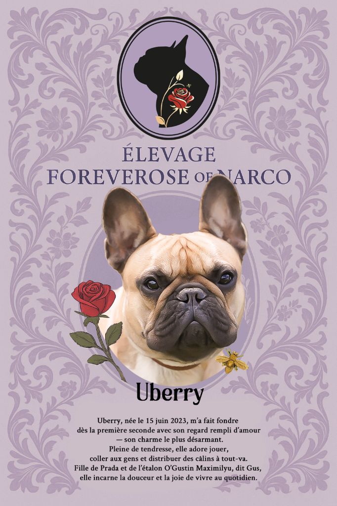 Foreverose Of Narco Uberry cranberry